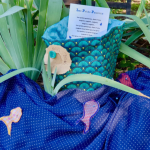 Comptine en chaussettes Les petits poissons